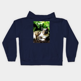 Cats - Cat Relaxing in Garden Kids Hoodie